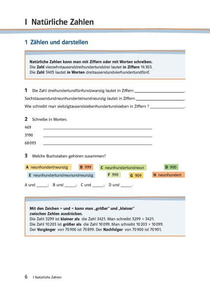 Lambacher Schweizer 1 - Das Trainingsbuch zum Lehrbuch